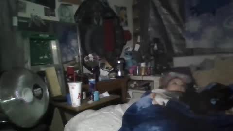 Snapshot of stitchsunshine85 chatting on 02-20-25, 05:01 Tasha and Drew online show from 02-20-25, 05:01