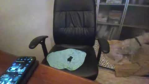 rainy online show from 12-14-25, 01:11