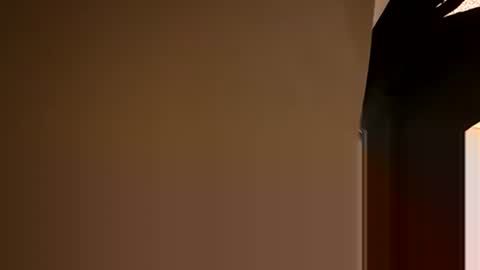 Oval2022 online show from 12-05-24, 08:55