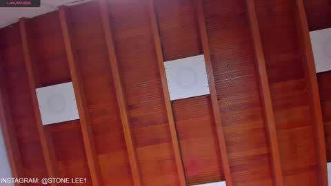 Stone Lee  online show from 01-22-25, 01:53