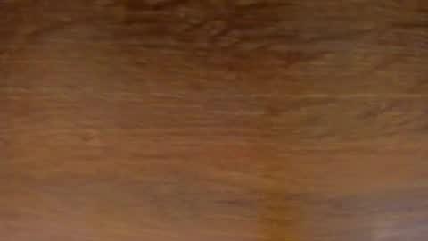 Stone Lee  online show from 02-13-25, 11:50