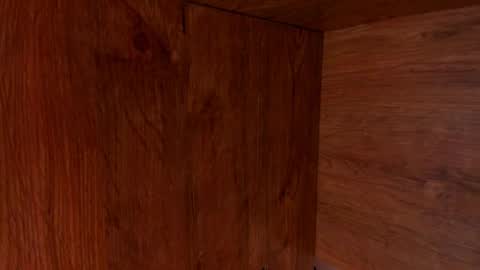 Stone Lee  online show from 02-23-25, 09:55