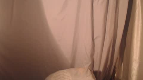 Snapshot of stonenipple chatting on 10-28-25, 05:48 stonenipple online show from 10-28-25, 05:48