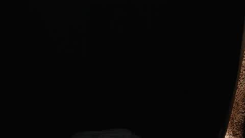 stonenipple online show from 11-26-25, 06:47