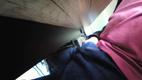 shrek online show from 11-17-25, 11:54