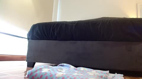 storm_hanks online show from 02-08-26, 01:47