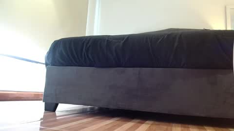 Snapshot of stormy_carter chatting on 11-04-25, 12:15 stormy carter online show from 11-04-25, 12:15