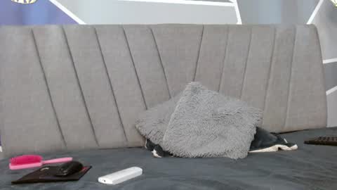 stormy_hot1 online show from 07-28-26, 03:21