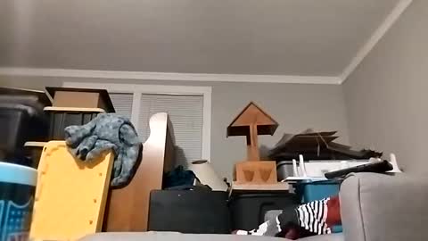 Snapshot of str33twyz3 chatting on 10-23-25, 08:46 Streetwyze online show from 10-23-25, 08:46