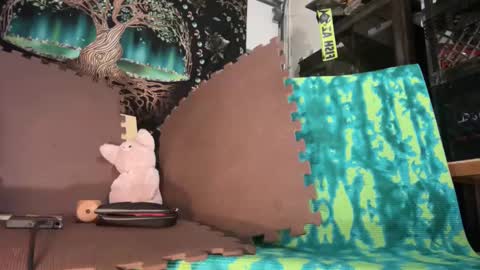 Str8 online show from 12-19-24, 10:34