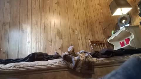 straighttoy online show from 11-03-25, 03:24