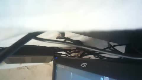 strangerdanger_2 online show from 01-09-26, 11:35