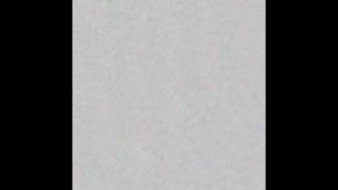 Alice and Violetta online show from 12-14-25, 09:03