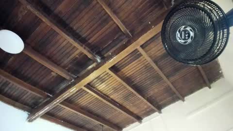 Snapshot of strong_girl_ chatting on 03-25-26, 11:05 Alexa online show from 03-25-26, 11:05