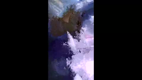 stuffamuffagus69 online show from 05-17-26, 09:33