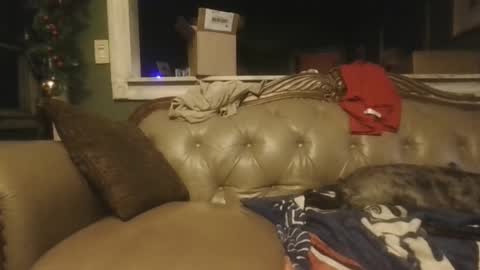 Snapshot of sub_michael41 chatting on 12-21-24, 06:52 sub_michael41 online show from 12-21-24, 06:52