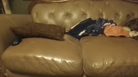 Snapshot of sub_michael41 chatting on 01-21-25, 05:05 sub_michael41 online show from 01-21-25, 05:05