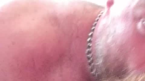 Subbear online show from 06-30-26, 09:32