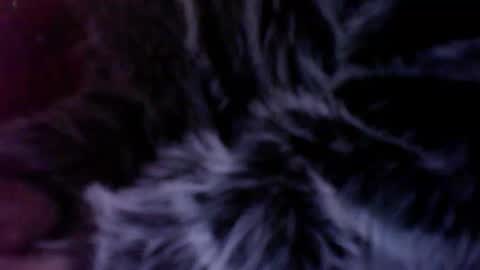 subwoofersluttt online show from 01-14-26, 08:20