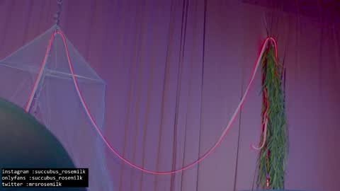 Succubus RoseMilk online show from 01-27-25, 02:53