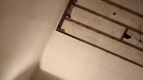 suckmeplease70 online show from 11-02-25, 07:55