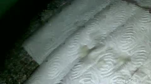 Martin sweetboy online show from 02-18-25, 09:53