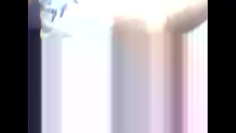 Snapshot of suleyman38 chatting on 02-17-25, 12:16 suleyman38 online show from 02-17-25, 12:16