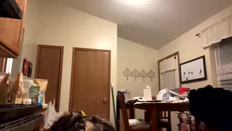 sunnbabe92485 online show from 09-11-25, 02:44