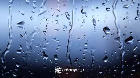 sven online show from 02-04-26, 06:58