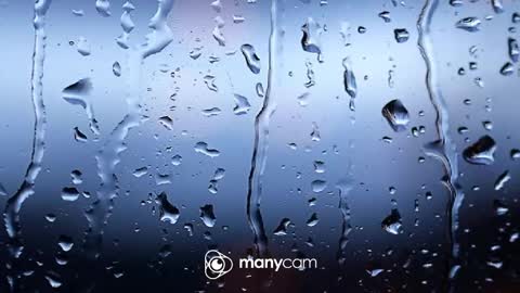 sven online show from 02-06-26, 08:18