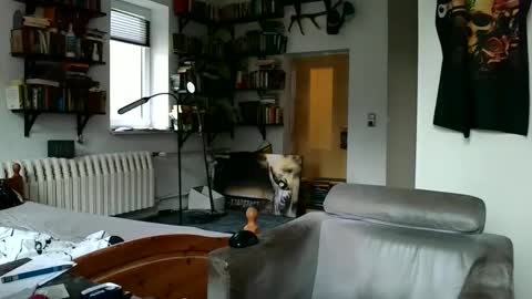 Snapshot of sunr1sa chatting on 12-07-24, 07:49 sunr1sa online show from 12-07-24, 07:49