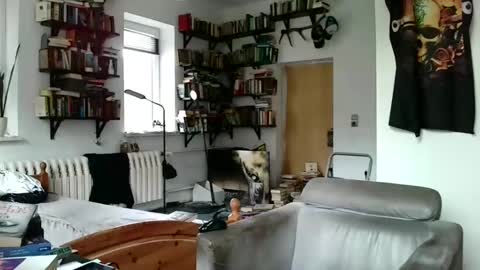 Snapshot of sunr1sa chatting on 01-03-25, 10:41 sunr1sa online show from 01-03-25, 10:41