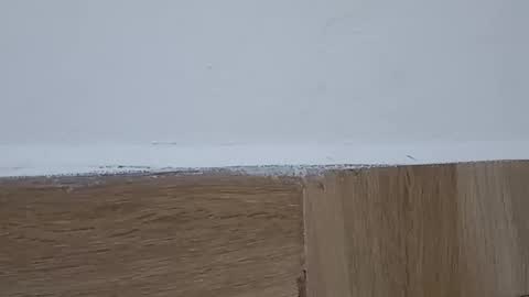 Annie online show from 10-06-25, 05:32