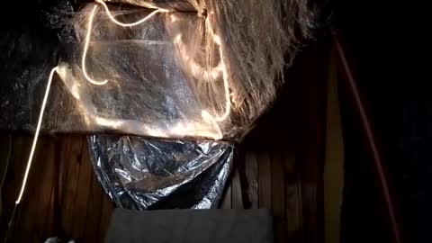 Snapshot of super_jony chatting on 10-01-25, 02:17 super jony and Marta GMT 1300-1800 every day online show from 10-01-25, 02:17