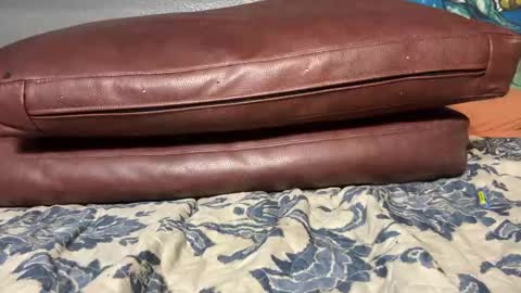 Stony online show from 01-20-25, 11:56