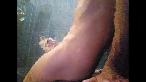 Snapshot of surferxzx chatting on 01-27-25, 12:54 surferxzx online show from 01-27-25, 12:54