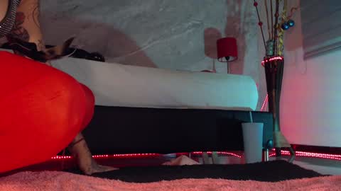    online show from 12-17-24, 10:54