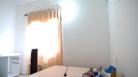 Susana online show from 01-21-25, 04:48