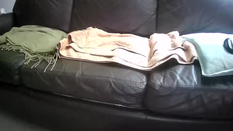 Snapshot of suv1 chatting on 09-23-25, 03:53 Otto online show from 09-23-25, 03:53