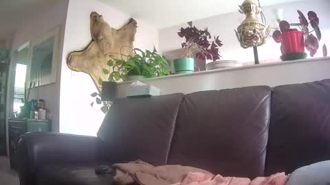 Snapshot of suv1 chatting on 10-07-25, 09:56 Otto online show from 10-07-25, 09:56