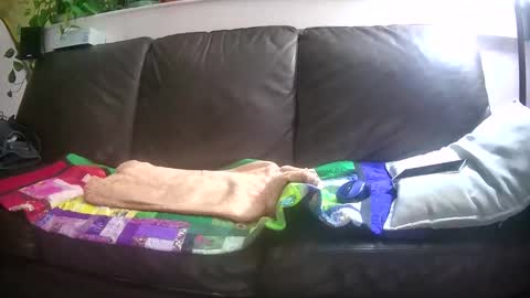 Snapshot of suv1 chatting on 10-26-25, 04:29 Otto online show from 10-26-25, 04:29