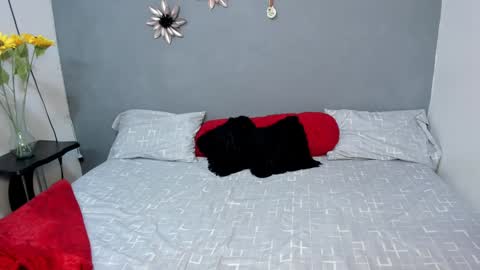 Sweet Amanda95 online show from 12-03-24, 12:16