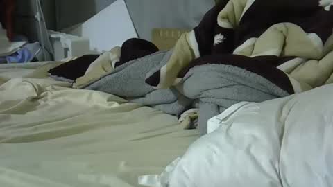 Snapshot of sweet_bellah66 chatting on 03-08-26, 09:29 Bellah online show from 03-08-26, 09:29