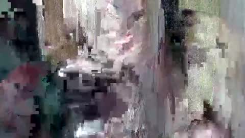 Snapshot of sweet_chel chatting on 05-09-26, 02:39 sweet_chel online show from 05-09-26, 02:39