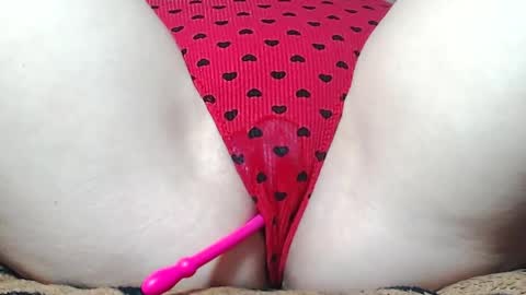Kitten online show from 05-17-26, 08:23