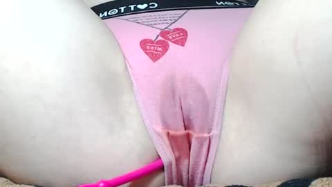 Kitten online show from 06-25-26, 08:19