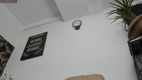 Alesy online show from 12-16-24, 09:46