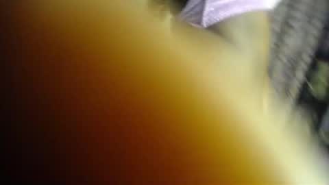 Kush online show from 06-22-26, 05:15