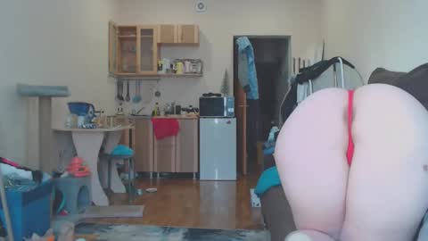 TexasPAWG101 online show from 02-25-26, 02:10