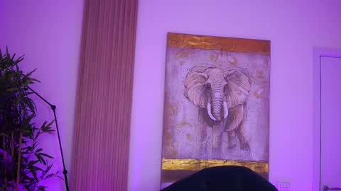 Lilly online show from 10-12-25, 07:29